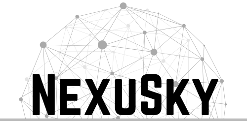 NexuSky logo